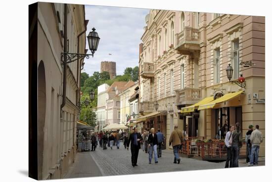 Pilies Gatve with the Old Castle in the Background, Vilnius, Lithuania, Baltic States-Gary Cook-Stretched Canvas