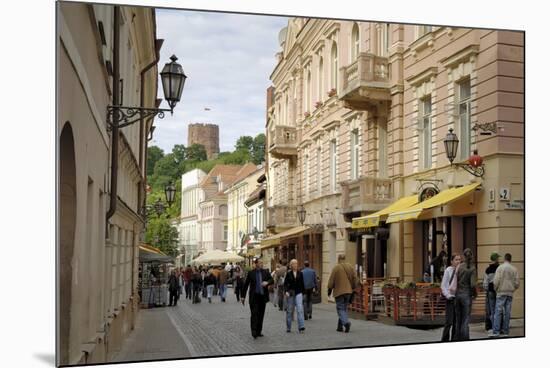 Pilies Gatve with the Old Castle in the Background, Vilnius, Lithuania, Baltic States-Gary Cook-Mounted Photographic Print