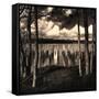 Pilings at the Riverbank-Jody Miller-Framed Stretched Canvas