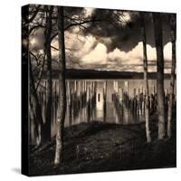 Pilings at the Riverbank-Jody Miller-Stretched Canvas