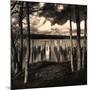 Pilings at the Riverbank-Jody Miller-Mounted Photographic Print