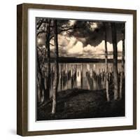 Pilings at the Riverbank-Jody Miller-Framed Photographic Print