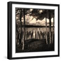 Pilings at the Riverbank-Jody Miller-Framed Photographic Print