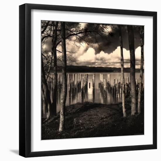 Pilings at the Riverbank-Jody Miller-Framed Photographic Print