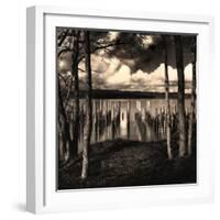 Pilings at the Riverbank-Jody Miller-Framed Photographic Print