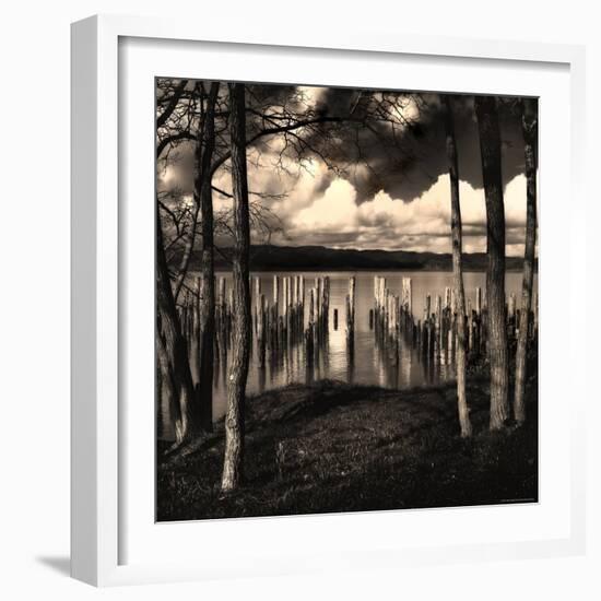 Pilings at the Riverbank-Jody Miller-Framed Photographic Print