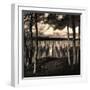 Pilings at the Riverbank-Jody Miller-Framed Photographic Print