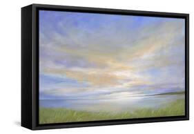 Pillar Point Sky-Sheila Finch-Framed Stretched Canvas