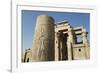 Pillar with Bas-Relief, Forecourt, Temple of Haroeris and Sobek-Richard Maschmeyer-Framed Photographic Print