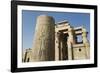 Pillar with Bas-Relief, Forecourt, Temple of Haroeris and Sobek-Richard Maschmeyer-Framed Photographic Print