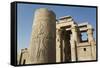 Pillar with Bas-Relief, Forecourt, Temple of Haroeris and Sobek-Richard Maschmeyer-Framed Stretched Canvas