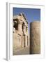 Pillar with Bas-Relief, Forecourt, Temple of Haroeris and Sobek-Richard Maschmeyer-Framed Photographic Print