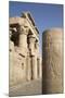 Pillar with Bas-Relief, Forecourt, Temple of Haroeris and Sobek-Richard Maschmeyer-Mounted Photographic Print