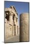 Pillar with Bas-Relief, Forecourt, Temple of Haroeris and Sobek-Richard Maschmeyer-Mounted Photographic Print
