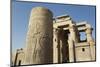 Pillar with Bas-Relief, Forecourt, Temple of Haroeris and Sobek-Richard Maschmeyer-Mounted Photographic Print
