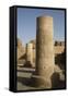 Pillars with Bas-Relief of the God Sobek-Richard Maschmeyer-Framed Stretched Canvas