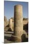 Pillars with Bas-Relief of the God Sobek-Richard Maschmeyer-Mounted Photographic Print