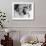 Pillow Talk, 1959-null-Framed Photographic Print displayed on a wall