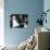 Pillow Talk, Doris Day, Nick Adams, Rock Hudson, 1959-null-Photo displayed on a wall