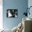 Pillow Talk, Doris Day, Nick Adams, Rock Hudson, 1959-null-Mounted Photo displayed on a wall