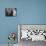 Pillow Talk, Rock Hudson, Tony Randall, Doris Day, 1959-null-Mounted Photo displayed on a wall