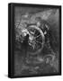Essential Black
