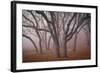 Pilot Road Trees-David Winston-Framed Art Print