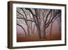 Pilot Road Trees-David Winston-Framed Art Print