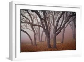 Pilot Road Trees-David Winston-Framed Art Print