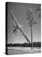 Pilot Sammy Mason Flying around a Tree During a Performance of His California Air Circus-Loomis Dean-Stretched Canvas