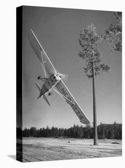 Pilot Sammy Mason Flying around a Tree During a Performance of His California Air Circus-Loomis Dean-Stretched Canvas