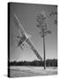 Pilot Sammy Mason Flying around a Tree During a Performance of His California Air Circus-Loomis Dean-Stretched Canvas