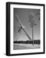 Pilot Sammy Mason Flying around a Tree During a Performance of His California Air Circus-Loomis Dean-Framed Photographic Print