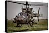 Pilots Participate in a Military Exercise at Fort Riley, Kansas-null-Stretched Canvas