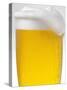 Pils with Head of Foam in Glass with Condensation-null-Stretched Canvas