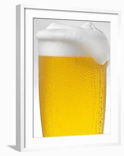 Pils with Head of Foam in Glass with Condensation-null-Framed Photographic Print