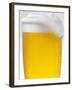 Pils with Head of Foam in Glass with Condensation-null-Framed Photographic Print