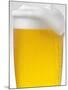 Pils with Head of Foam in Glass with Condensation-null-Mounted Photographic Print