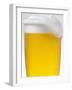 Pils with Head of Foam in Glass with Condensation-null-Framed Photographic Print