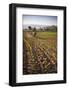 Pimiento Farmer Farming at Sunrise in the Cachi Valley, Salta Province, North Argentina-Matthew Williams-Ellis-Framed Photographic Print
