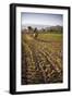 Pimiento Farmer Farming at Sunrise in the Cachi Valley, Salta Province, North Argentina-Matthew Williams-Ellis-Framed Photographic Print