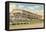 Pimlico Race Track, Baltimore, Maryland-null-Framed Stretched Canvas