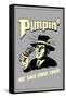 Pimpin' Ho' Sale Since 1869 Funny Retro Poster-Retrospoofs-Framed Stretched Canvas