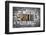 Pin It-enterlinedesign-Framed Photographic Print