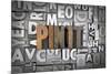 Pin It-enterlinedesign-Mounted Photographic Print