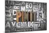 Pin It-enterlinedesign-Mounted Photographic Print