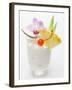 Piña Colada-null-Framed Photographic Print