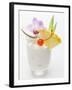 Piña Colada-null-Framed Photographic Print