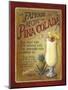 Piña Colada-Lisa Audit-Mounted Giclee Print