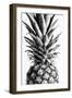 Pinapple Black a White 03-1x Studio III-Framed Photographic Print
